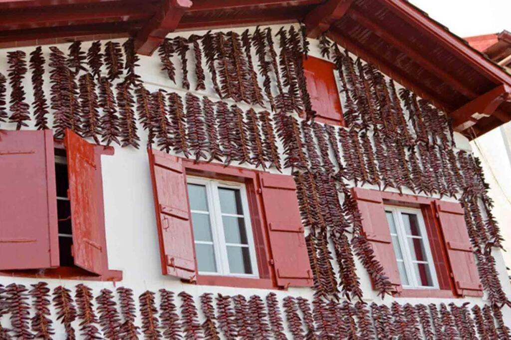 Maison Muruzabal Etxea Espelette Esterno foto